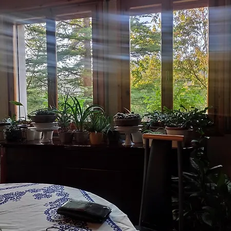 B&B Emilia Escape 3*