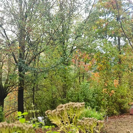 Emilia Escape Oda ve Kahvaltı Marano (Emilia-Romagna)