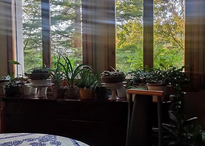 Bed & Breakfast Emilia Escape 3*