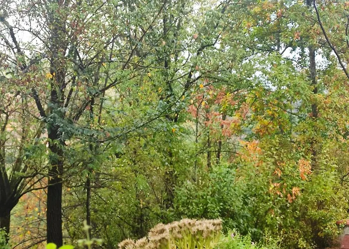 Emilia Escape Bed & Breakfast Marano (Emilia-Romagna)