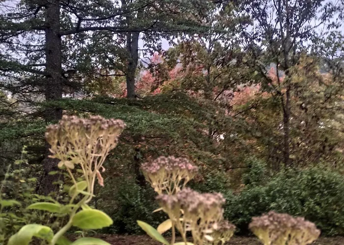 Bed & Breakfast Emilia Escape